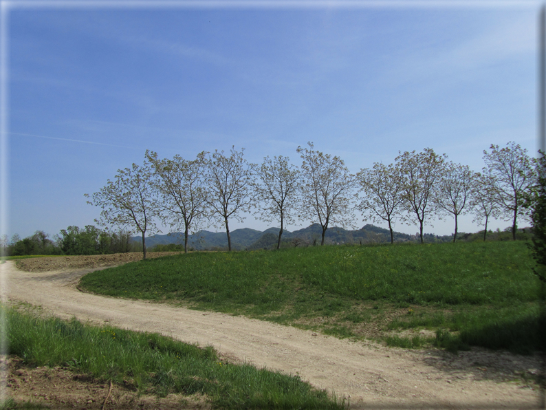 foto Paesaggi Collinari in Primavera